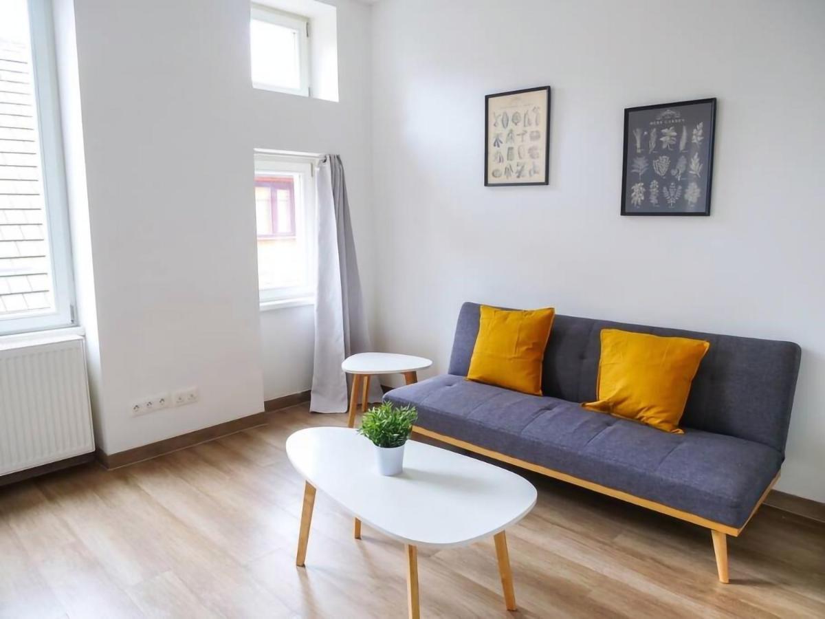 Appartement Thiergarten - T2 A Proximite De La Gare *