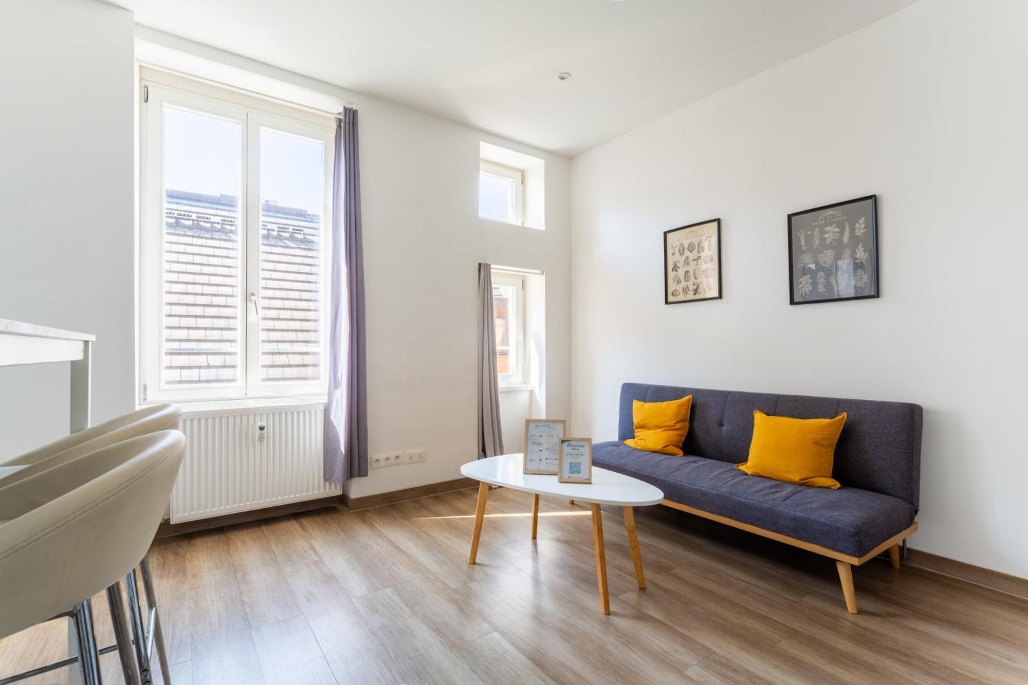 Apartamento Thiergarten - T2 A Proximite De La Gare